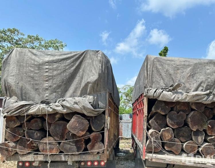 260 Batang Kayu Ilegal Meluncur ke Pekanbaru, Polisi Hadang di Tengah Jalan!