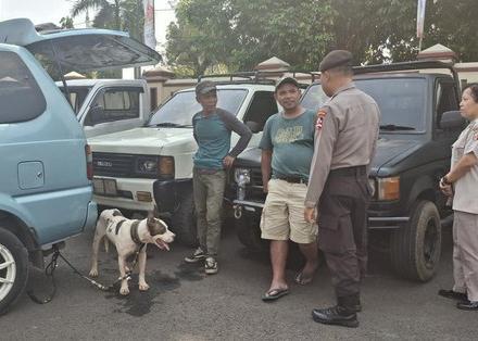 Bocah Tewas Usai Diterkam Anjing Pemburu Babi Hutan