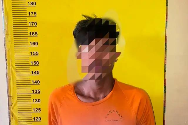 Kabur 16 Bulan, Penggelap Motor Perusahaan Akhirnya Ditemukan di Kebun Jagung Sumut