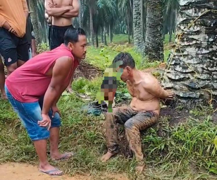 Viral! Pria di Rohil Diduga Pelaku Curanmor Diamankan Warga di Perkebunan Sawit, Pelaku Babak Belur