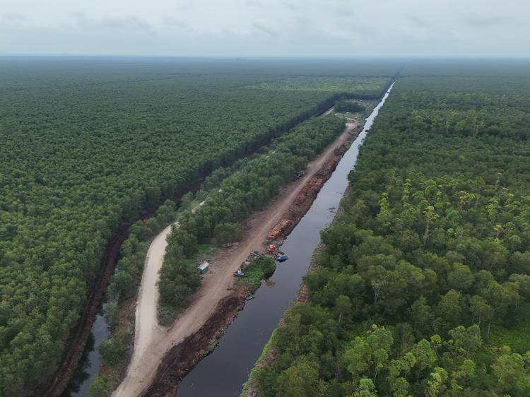 Penilaian FSC Kenapa Berhenti di Tahun 2020, Sementara Deforestasi dan Konflik Sosial di Areal Konsesi APP Group dan APRIL Group Masih Terus Berlanjut