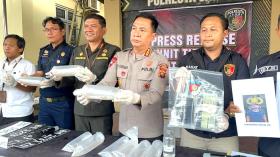 5 Kali Lolos! Kurir Benih Lobster Rp7,1 Miliar Akhirnya Tumbang di Jambi