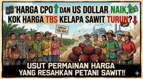 Lengkap! Ini Daftar 280 PKS di 15 Provinsi yang Dilaporkan Mentan ke Kapolri Dugaan Permainan Harga TBS Kelapa Sawit Petani