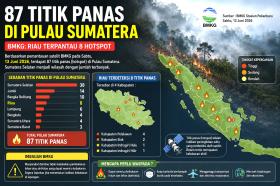 Satelit BMKG Pantau 87 Titik Panas Kepung Sumatera! 8 Hotspot Membara di Riau
