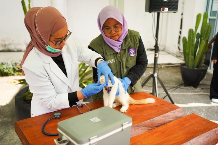 Pemprov Riau Hadirkan Pet Hotel dan Pet Ambulance, Permudah Layanan bagi Pemilik Hewan Peliharaan