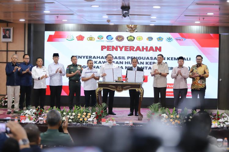 Laba Agrinas Palma Nusantara Cuma Rp 2,7 Miliar Padahal Kelola 4 Juta   Hektare Kebun Sawit, Ada Apa?