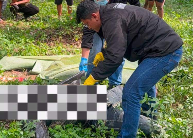 Misteri Mayat Petani di Kebun Sawit Pelalawan, Polisi Temukan Fakta Mengejutkan