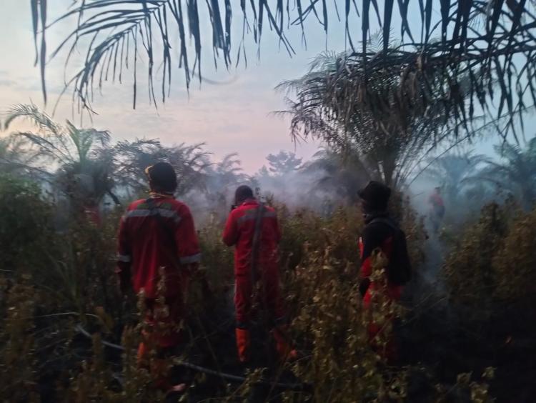 Karhutla Kembali Melanda Pekanbaru! Lahan Gambut 1 Hektare di Air Hitam Terbakar, Pemadaman Masih Berlangsung