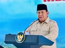 Prabowo Tantang Tiga Menteri Bangun PLTS 100 GW dalam Dua Tahun, Berani Sanggupi?
