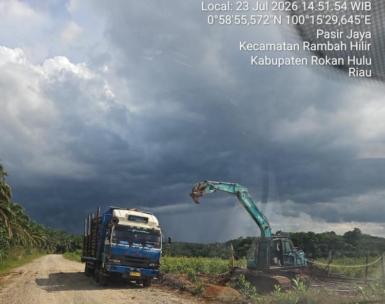 Wow! Yayasan Riau Madani Ungkap Aktivitas di Lahan Konsesi Eks PT Sumatera Sylva Lestari, Padahal Izin Sudah Dicabut Menhut Sejak 26 Januari 2026