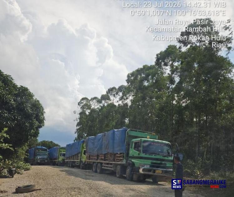 Kemenhut Masih Bungkam Soal Aktivitas di Areal Eks Konsesi PT Sumatera Sylva Lestari Diungkap Yayasan Riau Madani, Pencabutan Izin Tanpa Pengawasan? 