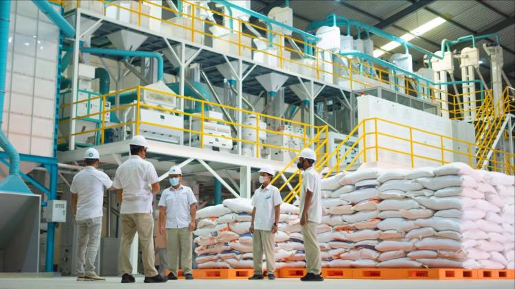 Bulog Catat Penyerapan Beras 3,5 Juta Ton, Target Nasional Hampir Tercapai