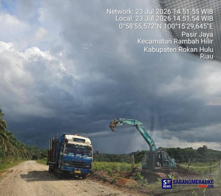 Gakkum Kemenhut Dalami Aktivitas di Eks Konsesi PT Sumatera Sylva Lestari yang Diungkap Yayasan Riau Madani, Izin Sudah Dicabut 26 Januari 2026