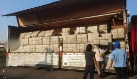 Koper dan Matras Jadi Kamuflase, Bea Cukai Bongkar Penyelundupan 3,37 Ton Ganja dari Thailand