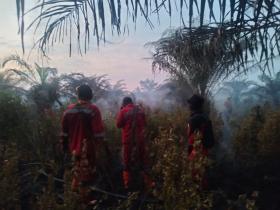 Karhutla Kembali Melanda Pekanbaru! Lahan Gambut 1 Hektare di Air Hitam Terbakar, Pemadaman Masih Berlangsung