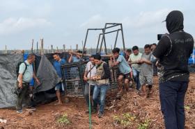 BBKSDA Riau Pasang Jebakan Harimau di Pelalawan
