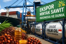 BPS Ungkap Sawit Kuasai Lebih dari Separuh Ekspor Riau, Tiongkok Tetap Jadi Pembeli Terbesar