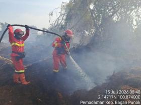 3 15.477 Hektare Hutan Lahan di Riau Hangus Terbakar, Ini Sebarannya