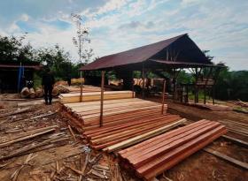 Polda Riau Bongkar Kilang Kayu Ilegal di Kampar: Tetapkan 1 Tersangka, Sita Ratusan Batang Kayu Ilegal