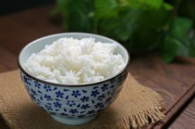Jangan Buang Sisa Nasi! Begini Cara Mengubahnya Jadi Kompos yang Bikin Tanaman Subur