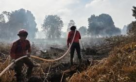 Sepekan Bergelut Bara, Asap Karhutla Bengkalis Mulai Menipis