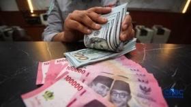 BI Tahan Suku Bunga, Rupiah Berjuang Hadapi Tekanan Minyak Dunia dunia