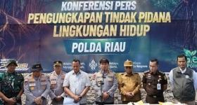 Mangrove Rohil Dibabat Alat Berat, Polisi Sita Ekskavator dan Tetapkan Tersangka