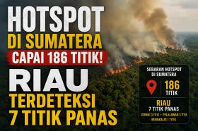 Tujuh Titik Panas Muncul di Riau, Dumai dan Pelalawan Jadi Sorotan BMKG