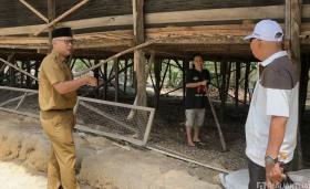 Ribuan Lalat Serbu Permukiman, Ini Sumber Gangguannya